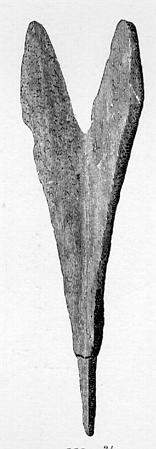 File:R551.jpg