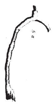 File:Spur hesket.jpg