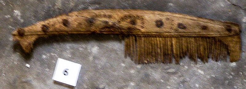 File:NMS Westness-Comb.JPG