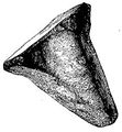 Thumbnail for version as of 16:06, 30 October 2016
