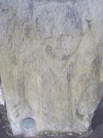79