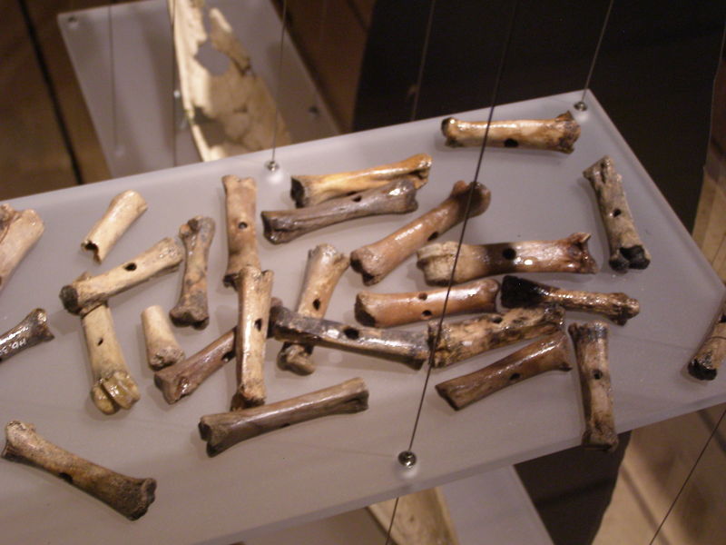 File:Hedeby Buzz Bones.JPG