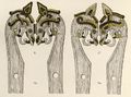 Thumbnail for version as of 19:02, 12 June 2014