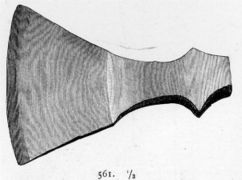 R561